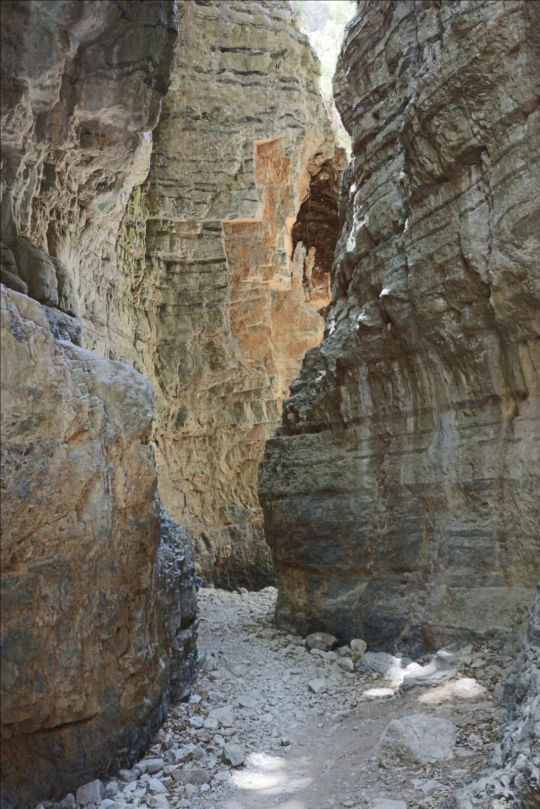 Rock face and vegetation in Agia Irini Gorge