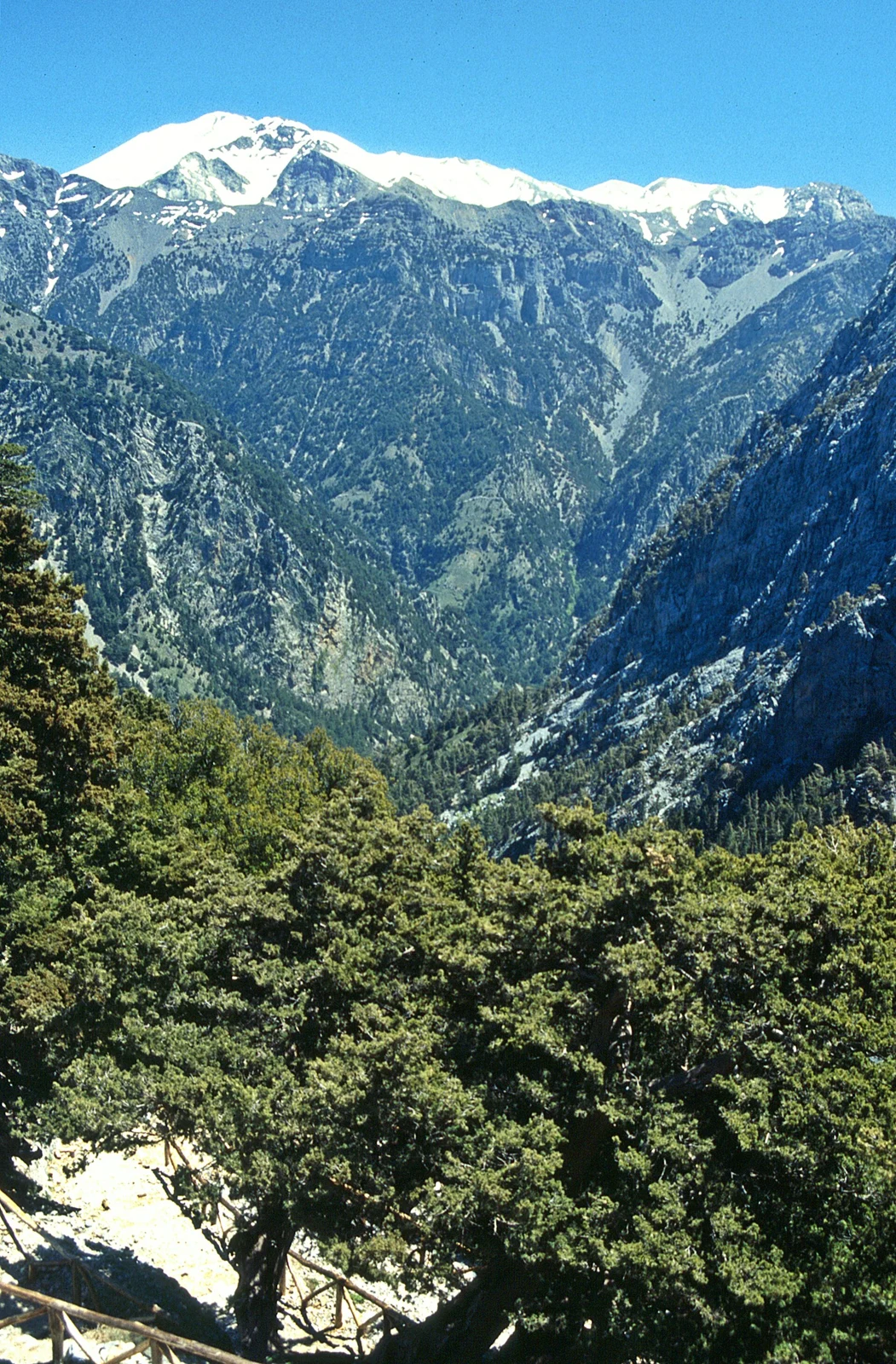 View towards Samaria Gorge and Mount Gingilos above the Omalos plateau